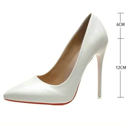 Pointed Toe 12cm Stiletto Pumps